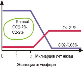 EvolutionRus.gif (14384 bytes)