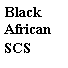 : Black&amp;#13;&amp;#10;African&amp;#13;&amp;#10;SCS&amp;#13;&amp;#10;